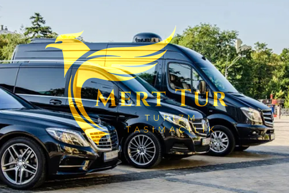 VIP TRANSFER-Hizmet-İçerik